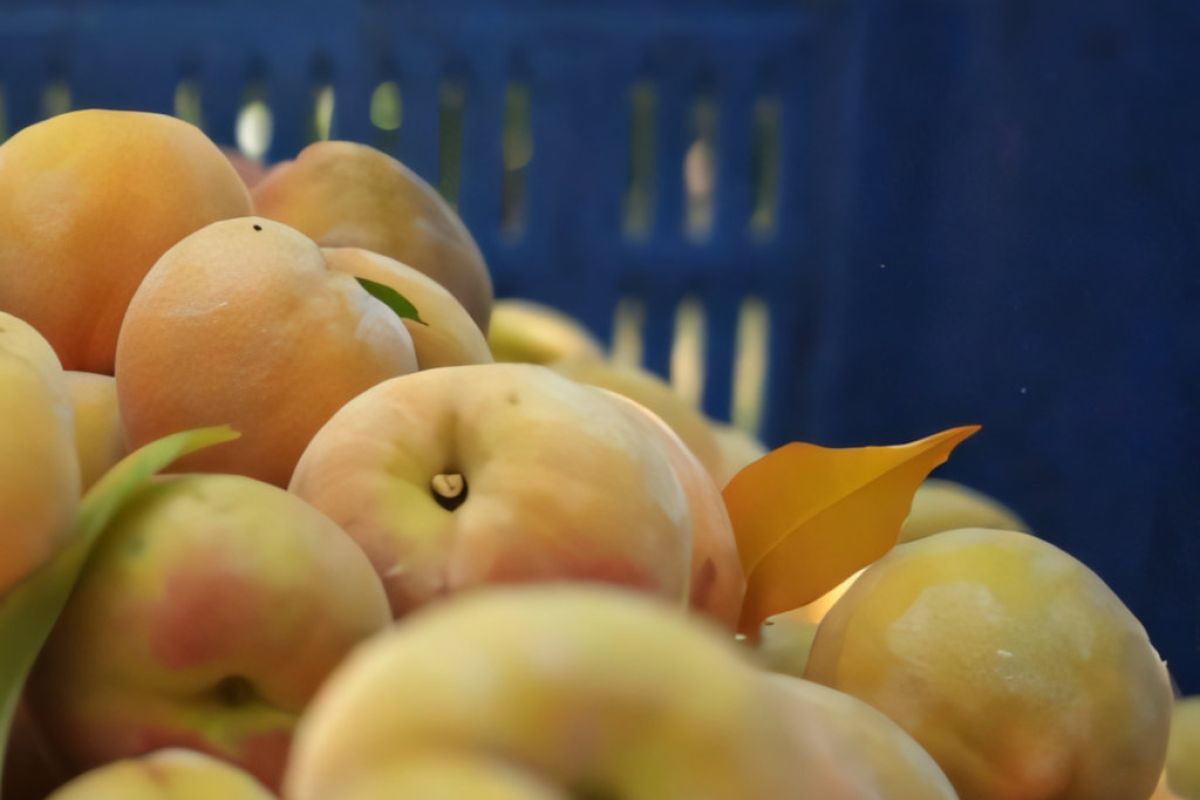 1024X1024 31 ec498481