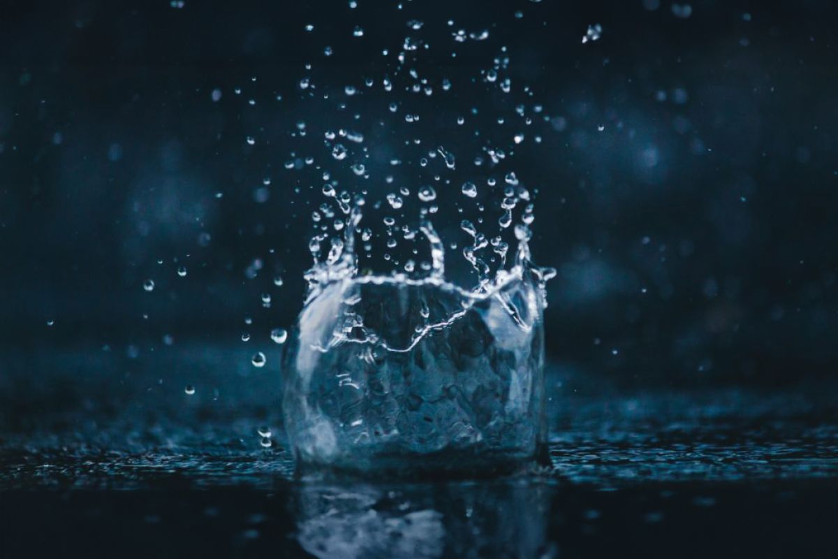 Untitled 1 48 ecfd6c40