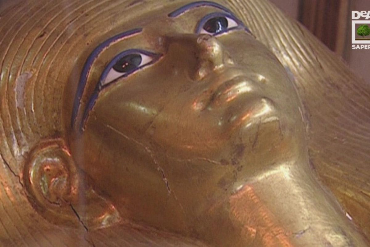 fbef5456f113816338a0b4f6cfe2c4a5 XL ecfe2537