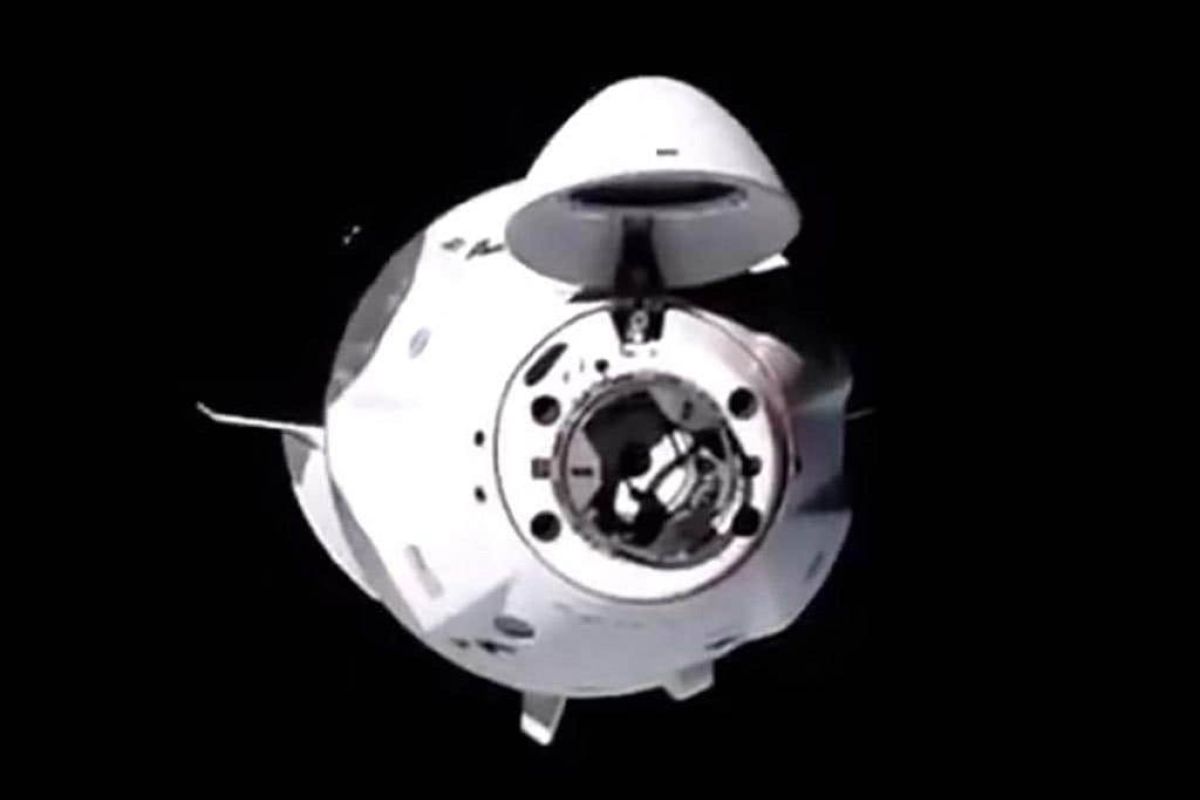 6022627a7eda35764a0b95819a22d650 XL ed83ed94