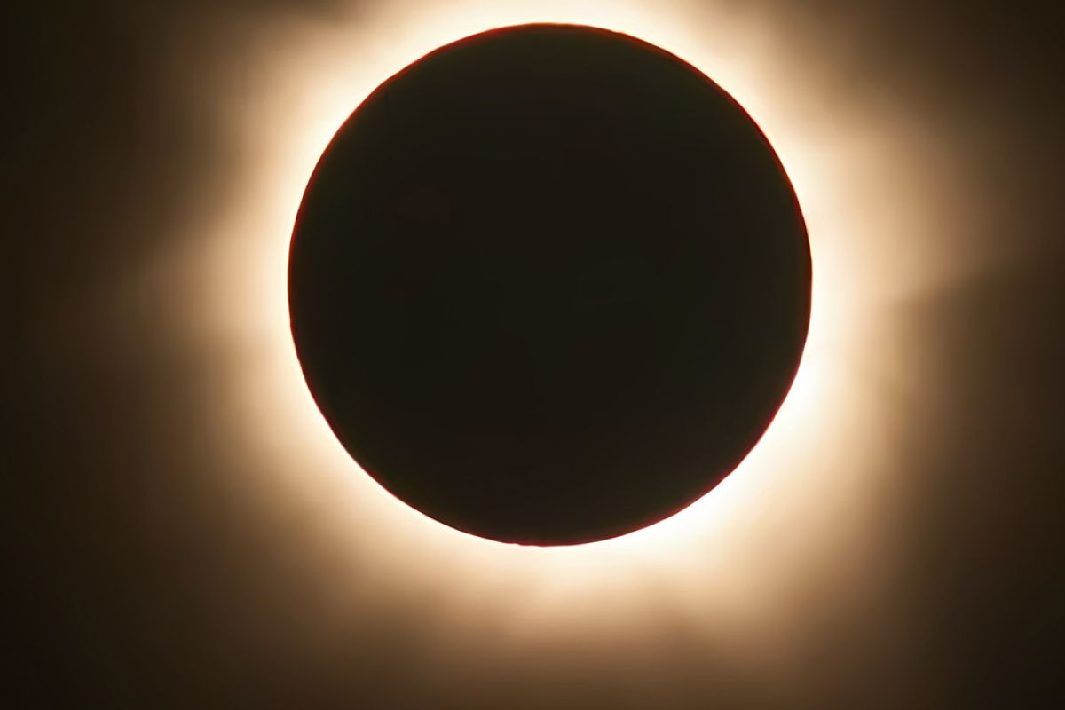 Untitled 1 6 eeca7e6e