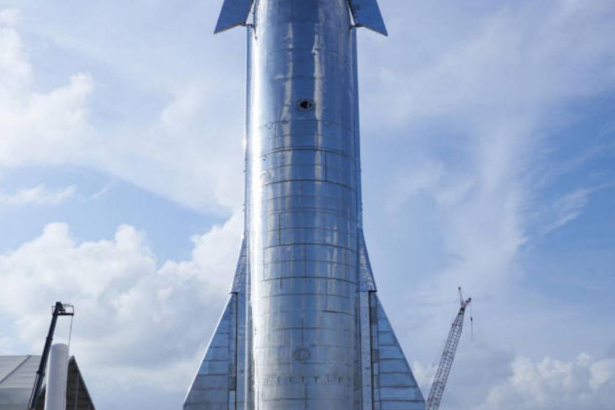 a2a6112a6152dcf93f648b11357e351b XL ee6dd5ed