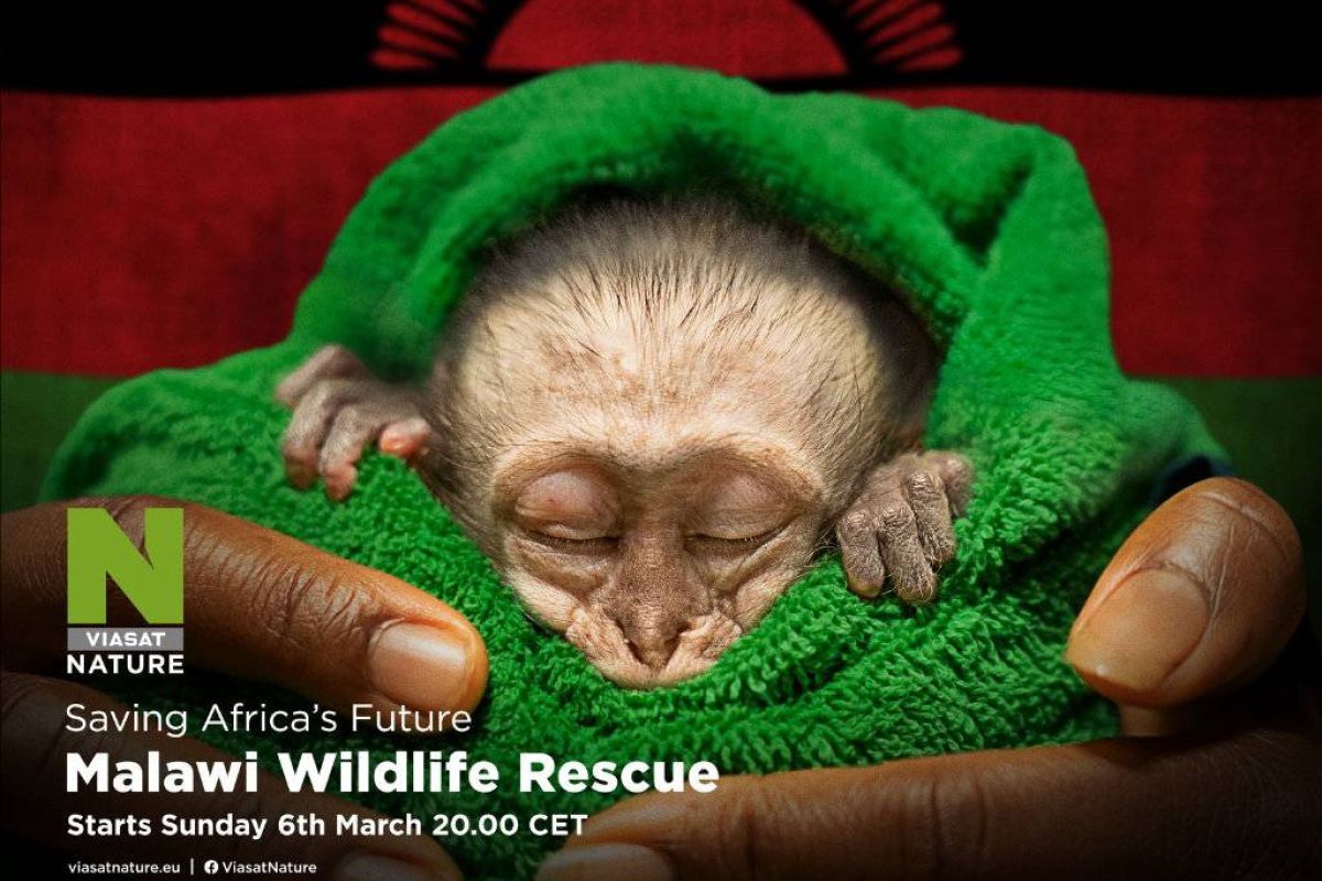 6ece5d872cb4394efc40f2dc173ccfaa XL ef200a36