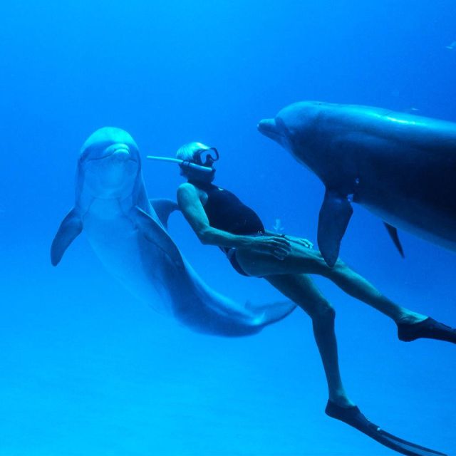 «Dolphin Man» – Ένα ντοκιμαντέρ που κόβει την ανάσα, στην ΕΡΤ1