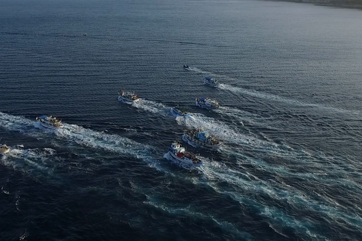 Untitled 1 19 efa3cd8f