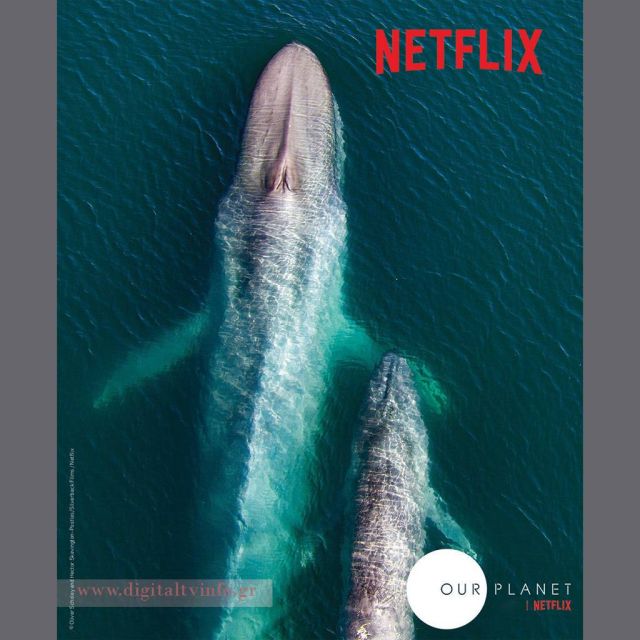 Η σειρά ντοκιμαντέρ του Netflix "Ο Πλανήτης μας", έρχεται στις 5 Απριλίου, γυρισμένο σε Ultra HD