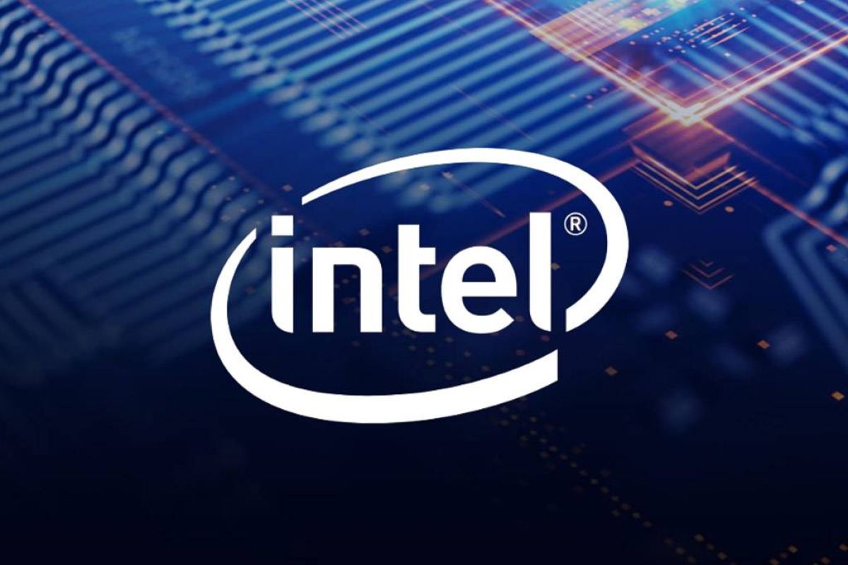 7da3ea31ecb8100d338d62f556efa98e XL f024f002