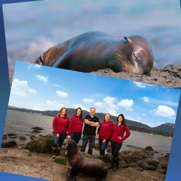 Σεπτέμβριος στο Viasat Nature: Υποδεχόμαστε το φθινόπωρο με ένα μεγάλο αφιέρωμα στον σκοτεινό κόσμο των ωκεανών