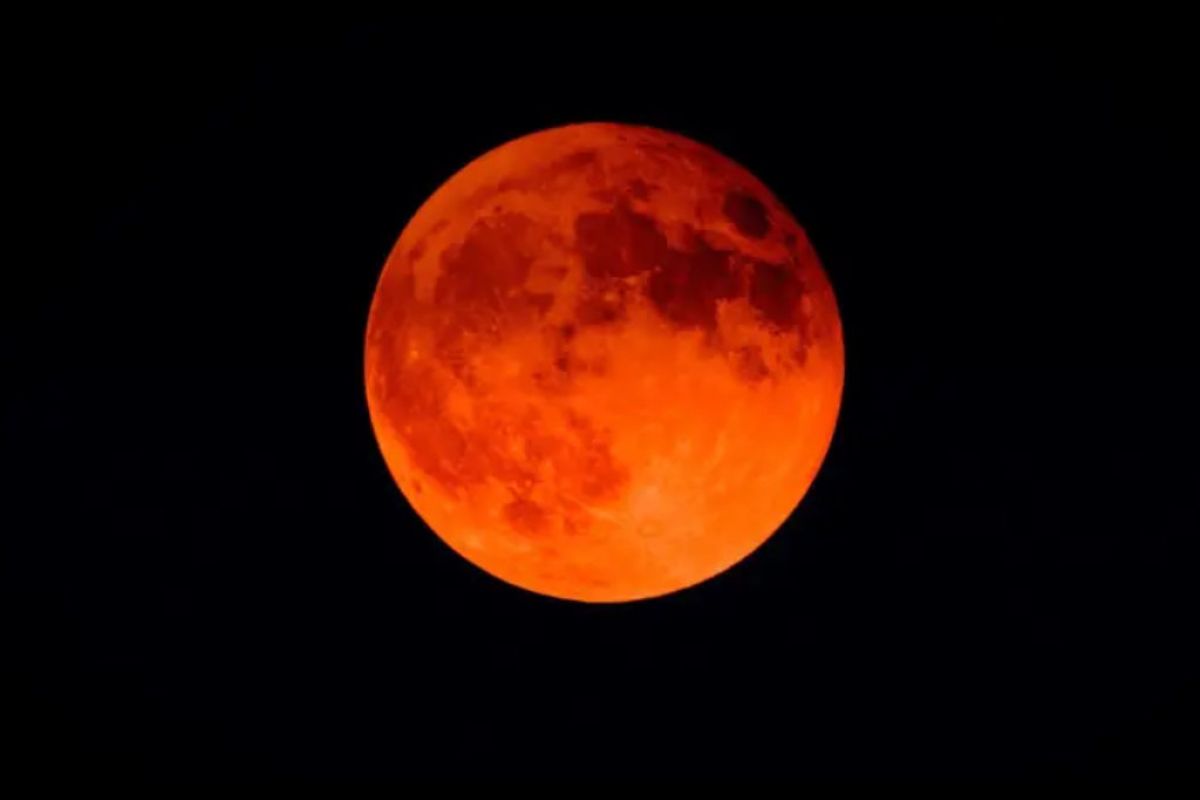 1024X1024 13 f10007c0