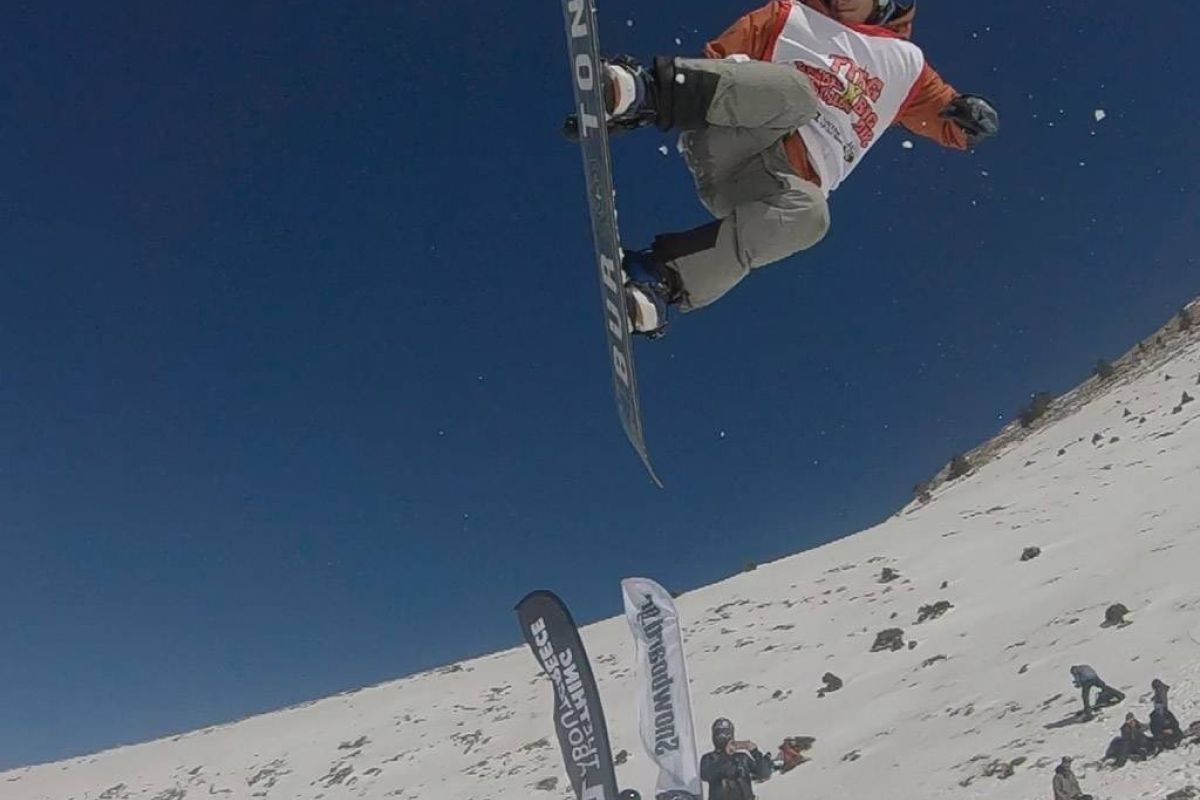 9999ad339352b09a2f05ecdac0ef6131 XL f12527b6