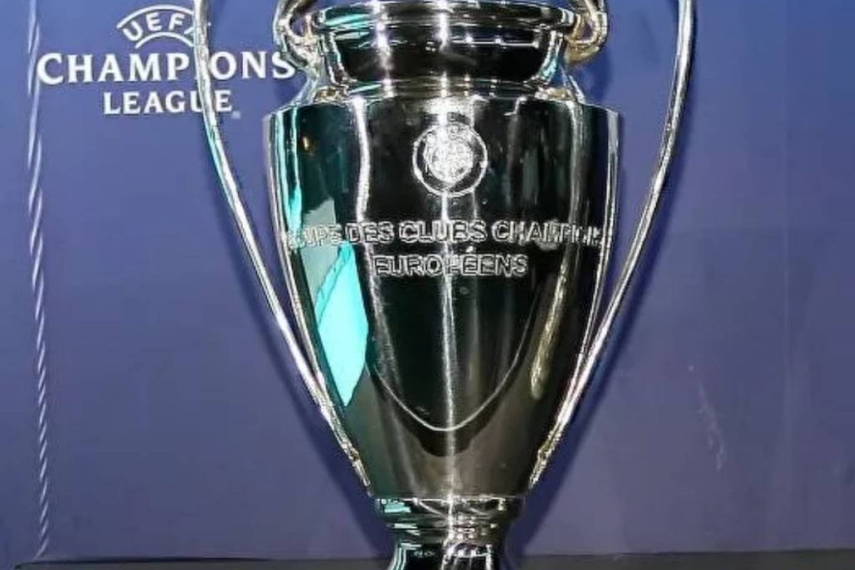 9b21425605035d97a99b6c1a0d2b5233 XL f3315205