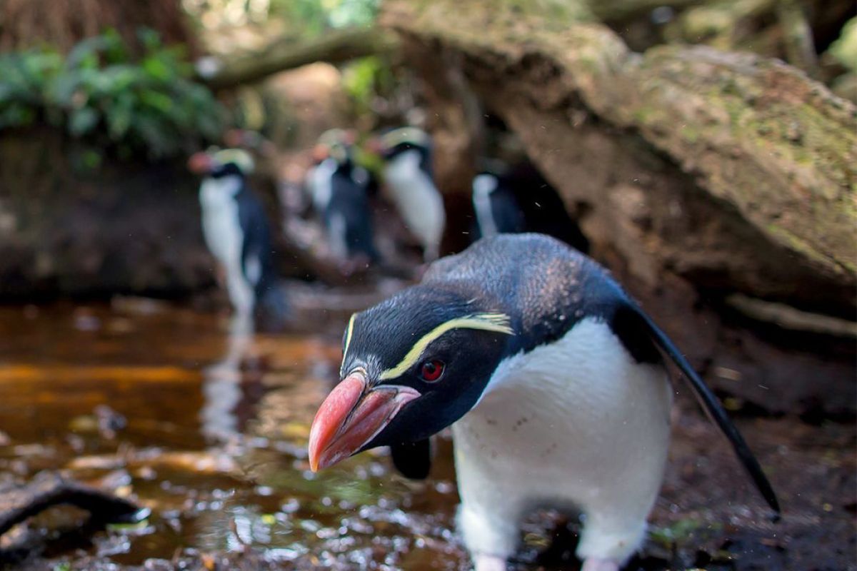 Untitled 1 148 f359370e