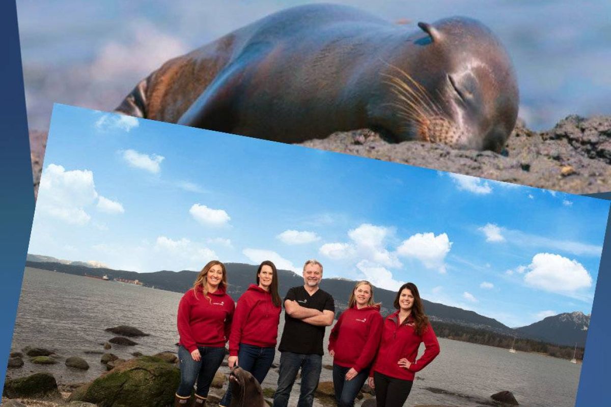 a5f9c13b548559b812ac38d915fec9fc XL f3e1d758