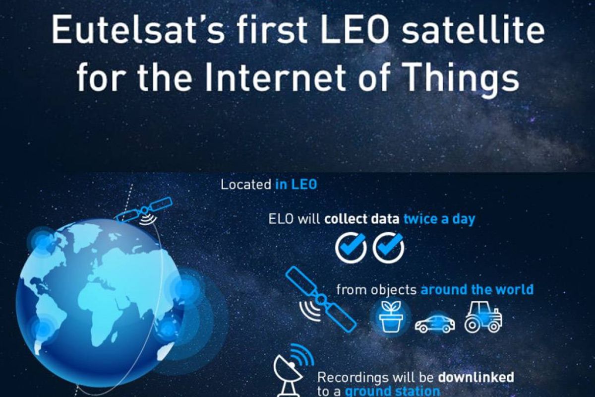 afbd1846fc49beb3f9c24883edc26c30 XL f37f0c18