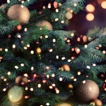 Για έκτη χρονιά ο διαγωνισμός ζωγραφικής χριστουγεννιάτικης – πρωτοχρονιάτικης κάρτας των παιδιών μελών της ΕΣΗΕΑ