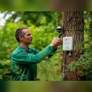 H Vodafone Ελλάδας παρουσιάζει το πρώτο «έξυπνο» δάσος της Ελλάδας στην Πάρνηθα