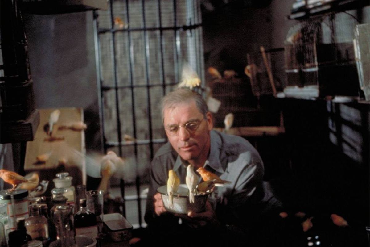 «Ο βαρυποινίτης του Αλκατράζ» – Μια υπέροχη ταινία στην ΕΡΤ1