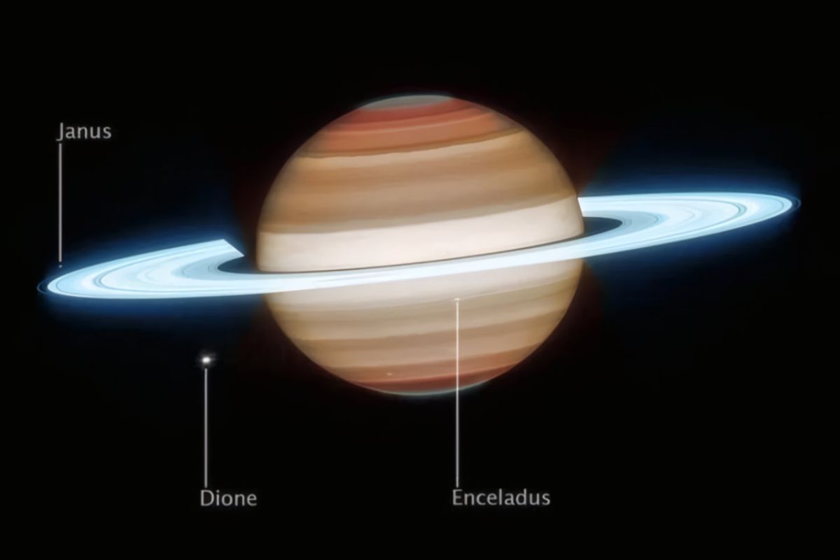 1280 square 124 f6fb885d