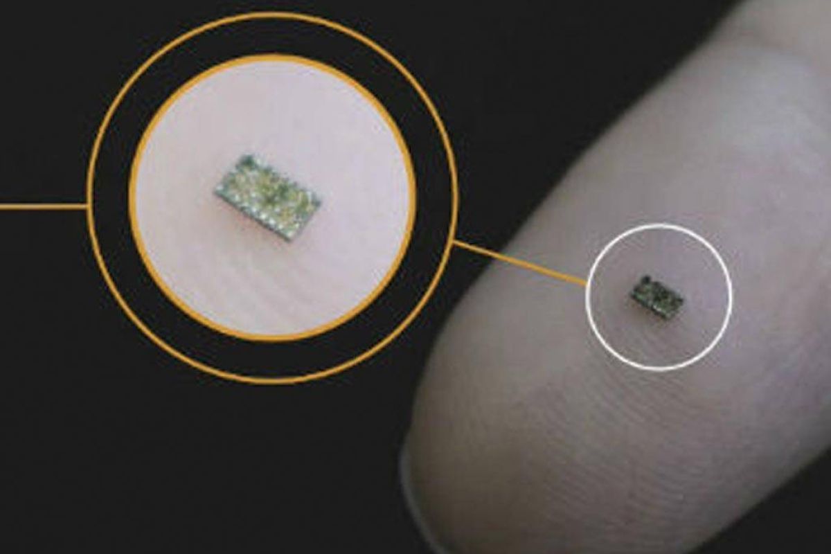 55007b5ff2c27ede40fbbcf0e2f4cb32 XL f6eac516