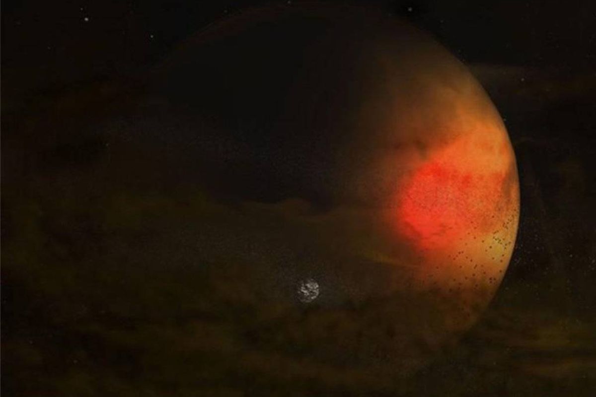 73765d989ee3826c1a9161b4aefebd74 XL f6d2552b