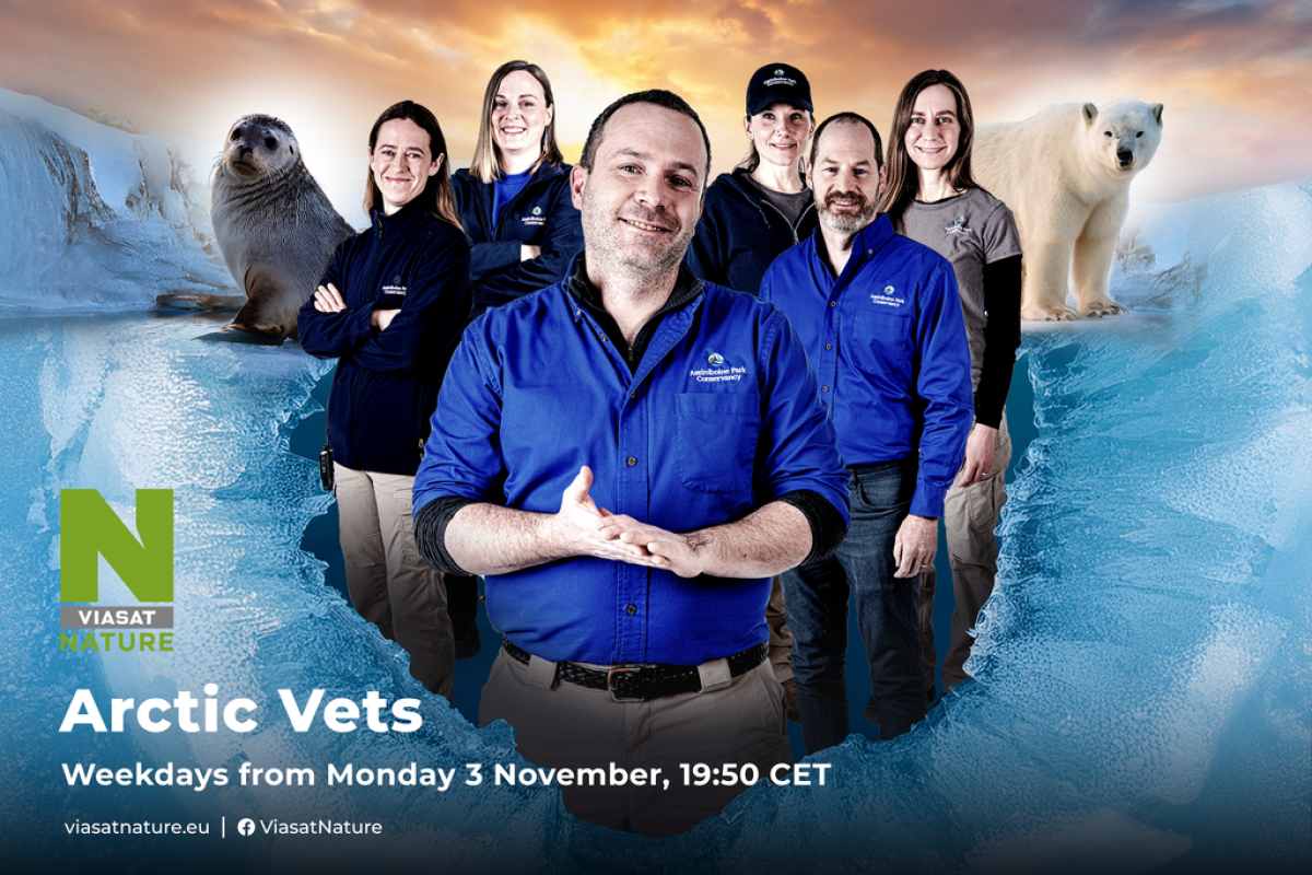 Το αφιέρωμα «Παγωμένα Σύνορα της Γης» και «Οι Κτηνίατροι της Αρκτικής» κάνουν πρεμιέρα στο Viasat Nature