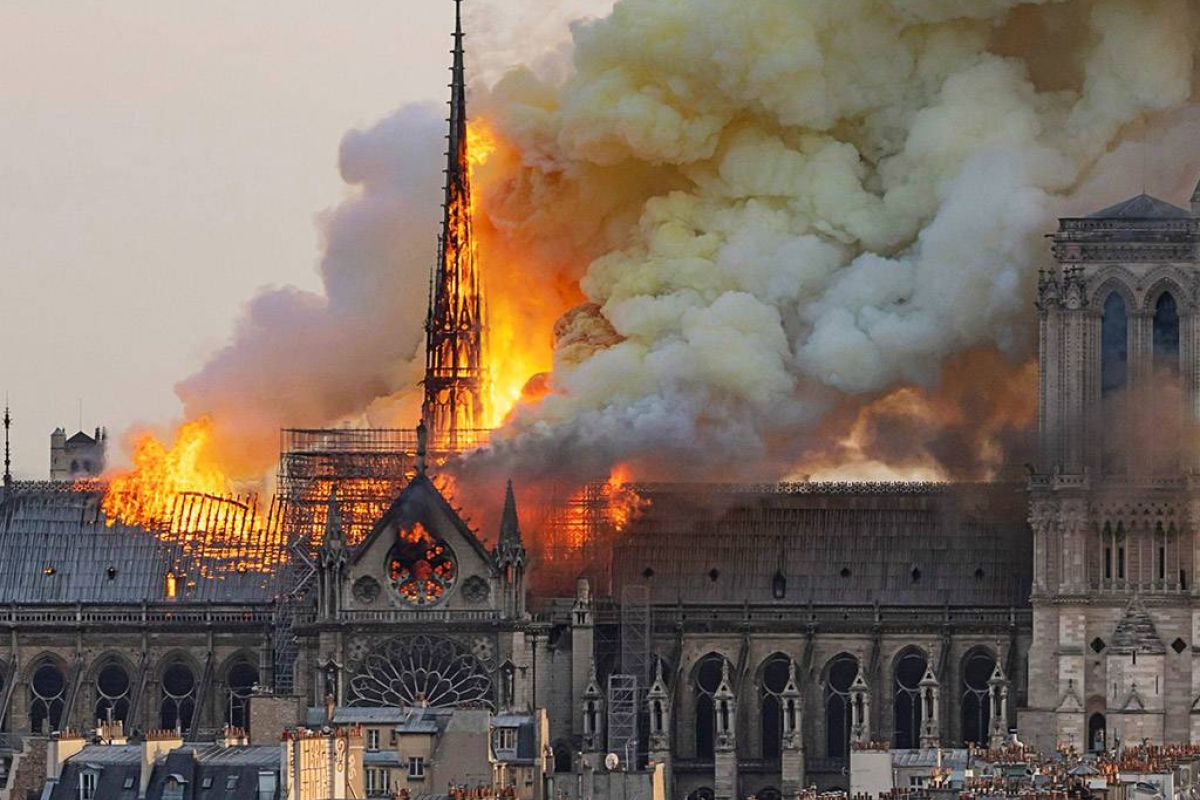 229f71f1fcc9d0fa82aea46e103f51b1 XL f74be8d1