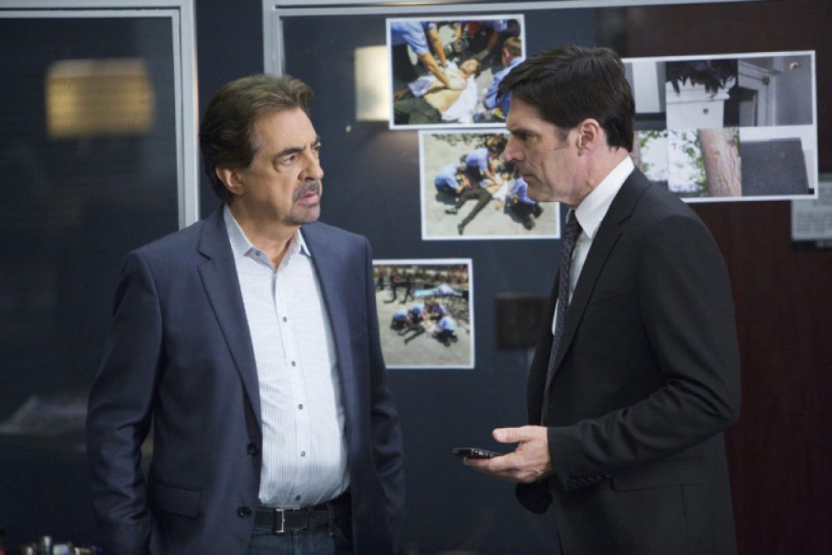 49007cc50777a2786a5a475ec5c576d8 XL f70b2dff