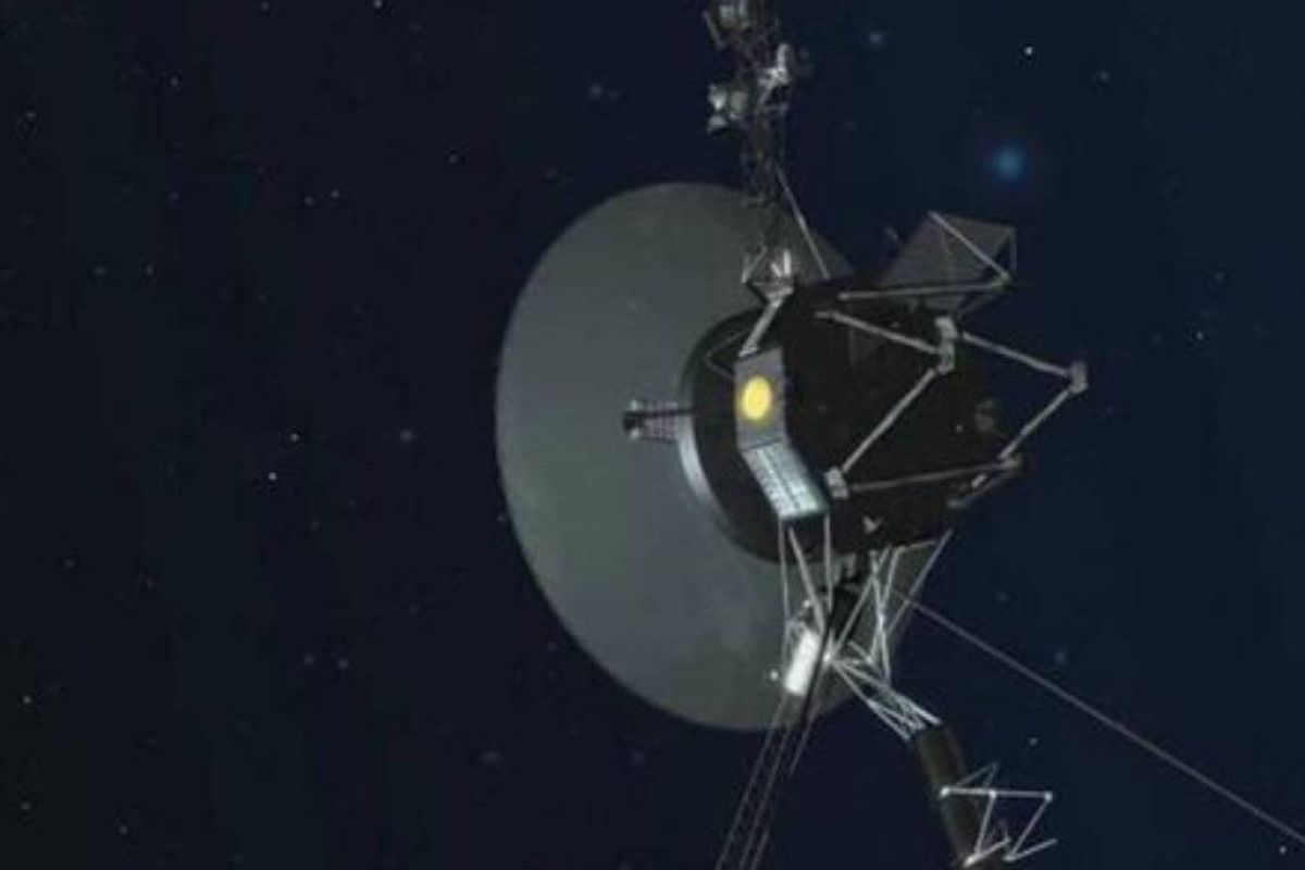 7eb81e0bfd386399a06a8c4ec9316043 XL f79e347d