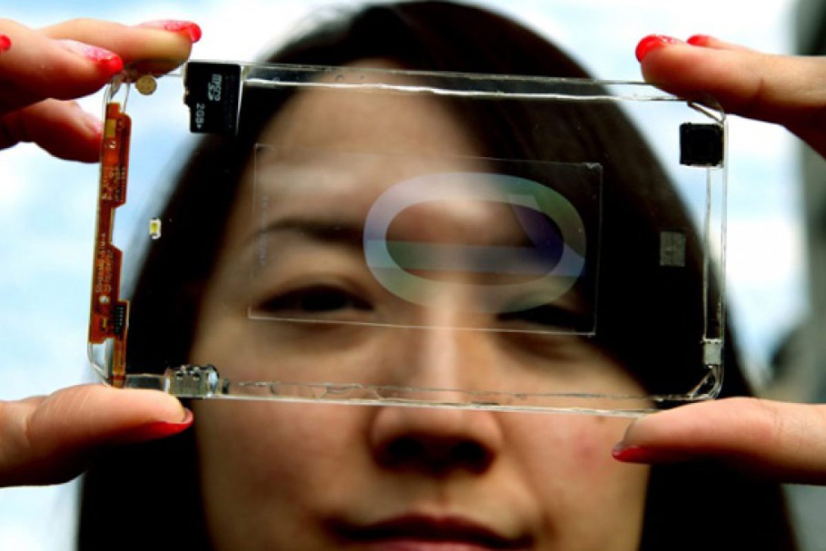 8ee9fed59ea70b6d1ab0628ed0a34e19 XL f7a805c1