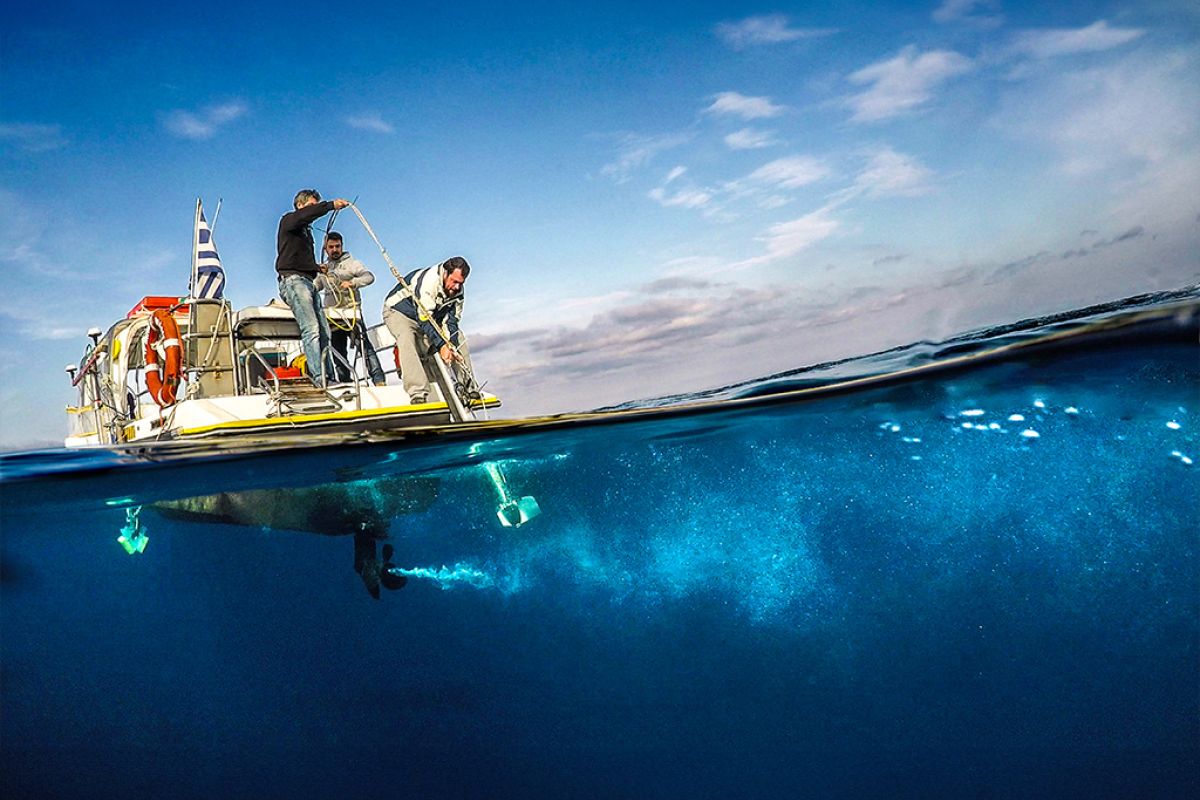 Untitled 1 38 f7e22403