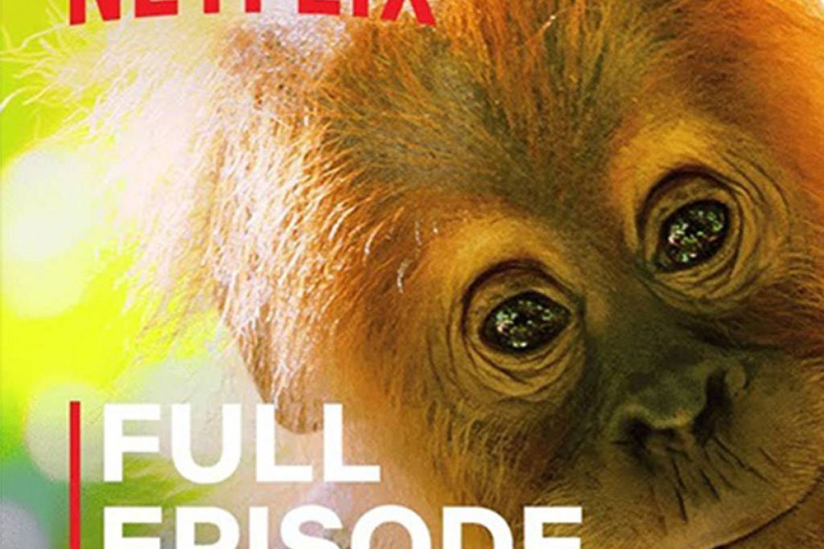 Netflix: Δείτε δωρεάν μερικά από τα καλύτερα ντοκιμαντέρ της υπηρεσίας