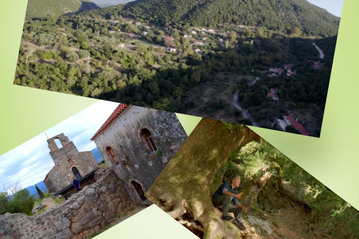 1280 square 28 f84b0cc5