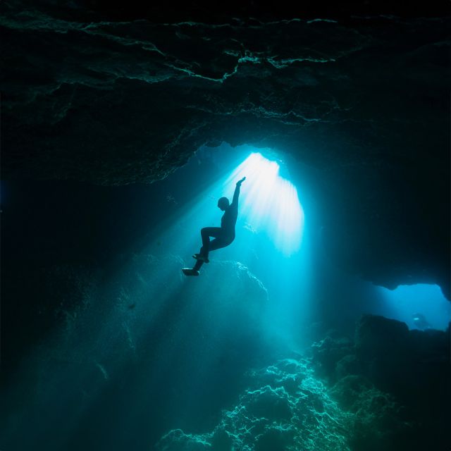 «Μεσόγειος: Πολιορκημένη θάλασσα»: Η εντυπωσιακή σειρά ντοκιμαντέρ για το μεσογειακό οικοσύστημα στο ERTFLIX