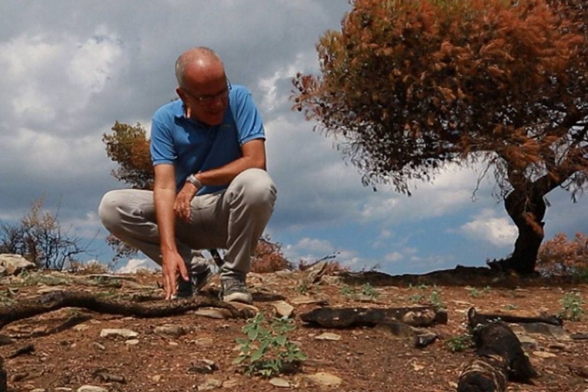 d7afece825e19125d1445da433e4203f XL f8c70807