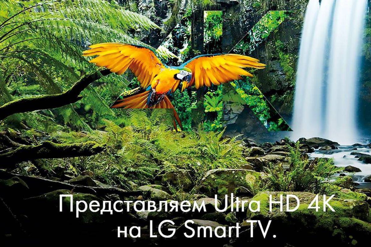 d93ae86cd067f39aeaf9d9558d4cb282 XL f860c54d