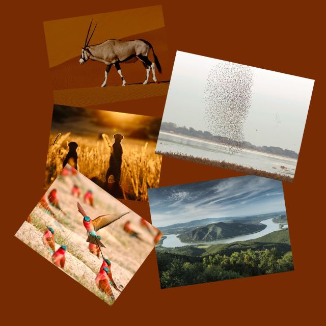 Η Ναμίμπια των Αντιθέσεων και οι καλύτερες στιγμές του Ιουλίου στο Viasat Nature