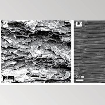 Άθραυστες οθόνες κινητών τηλεφώνων από γυαλί που μιμείται τα όστρακα
