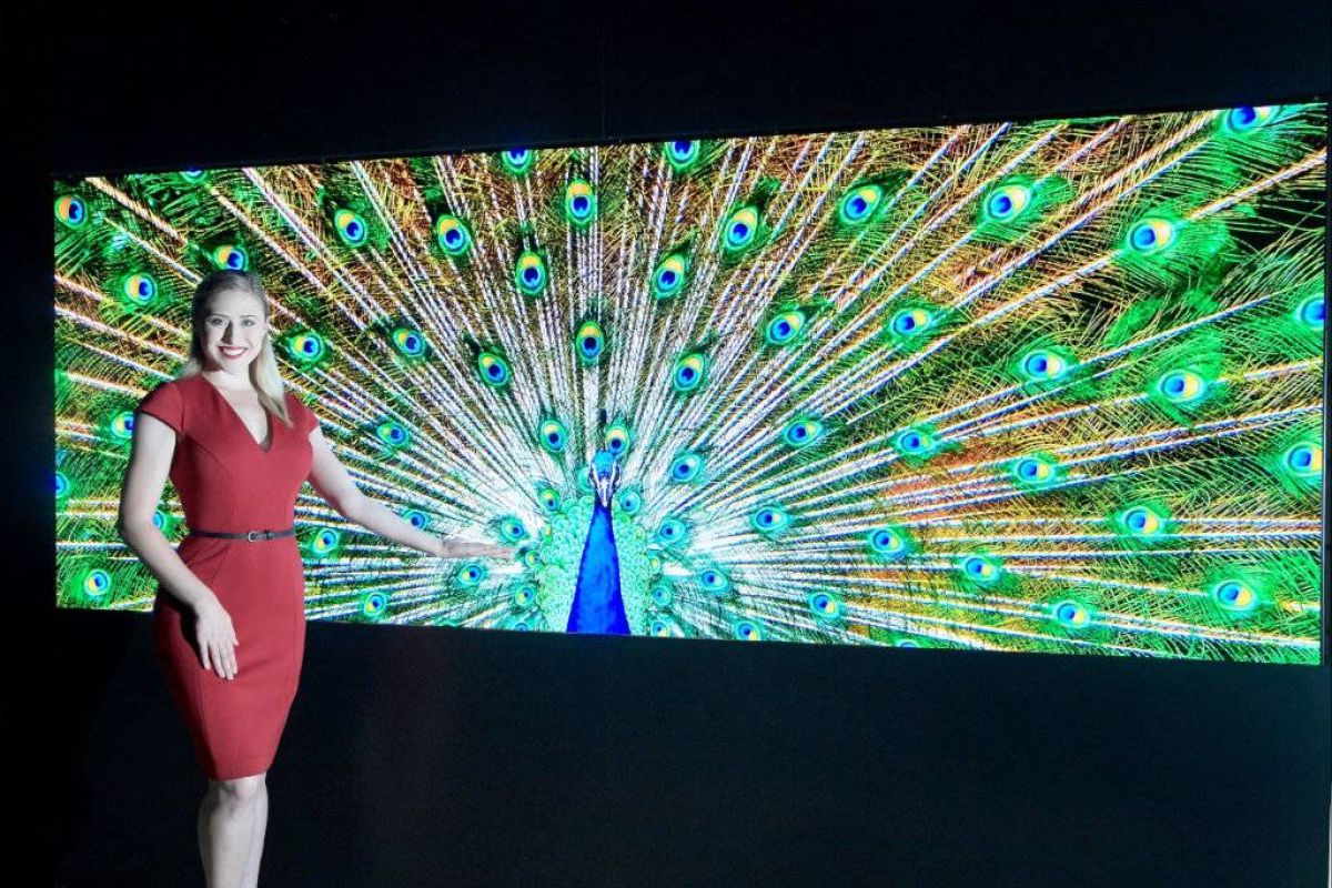 eb91685c006fe886ff725946b81a252e XL f9db4d6b