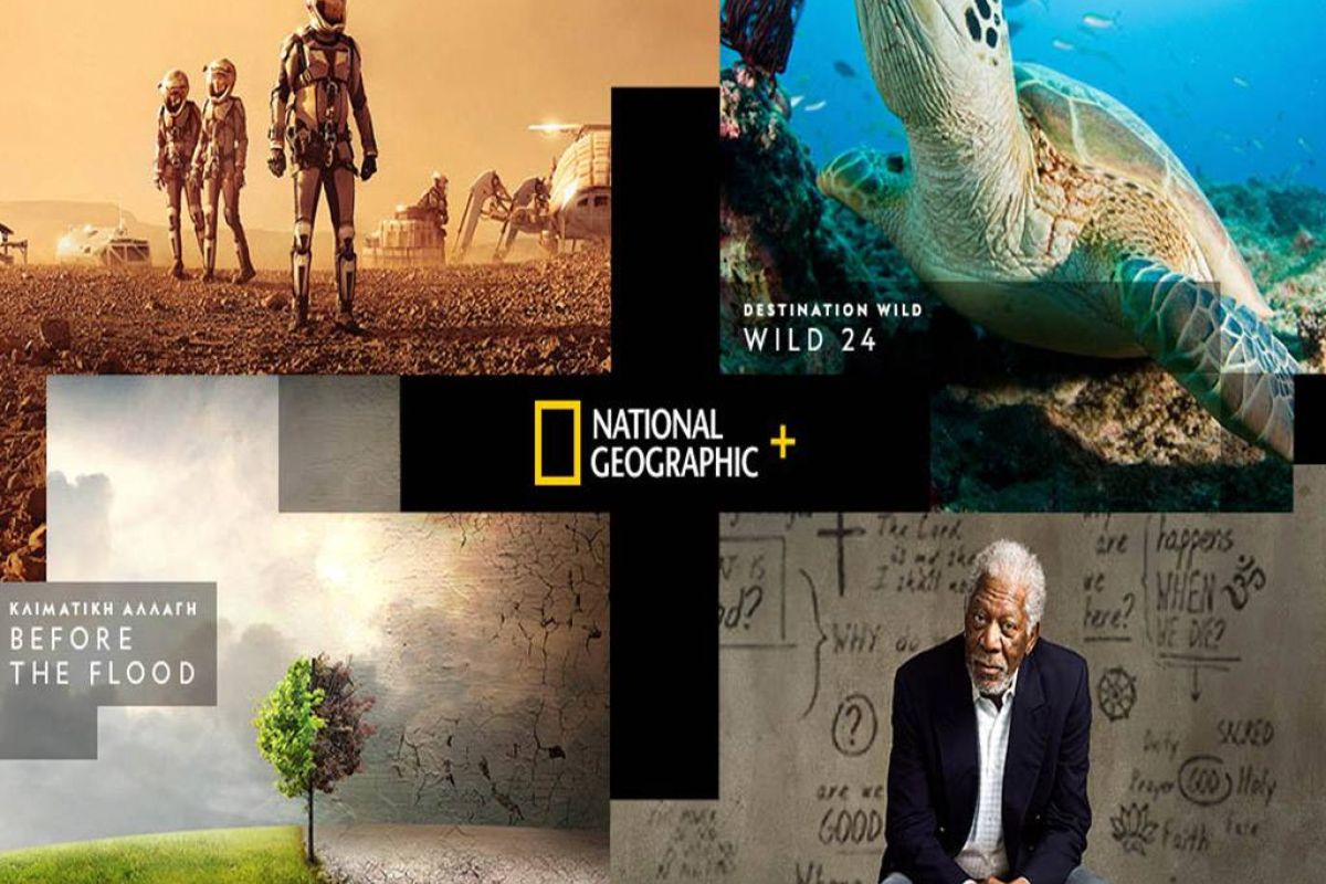 3ba5123db4f956ea7f2975f7ebe6c90c XL fad0c79c