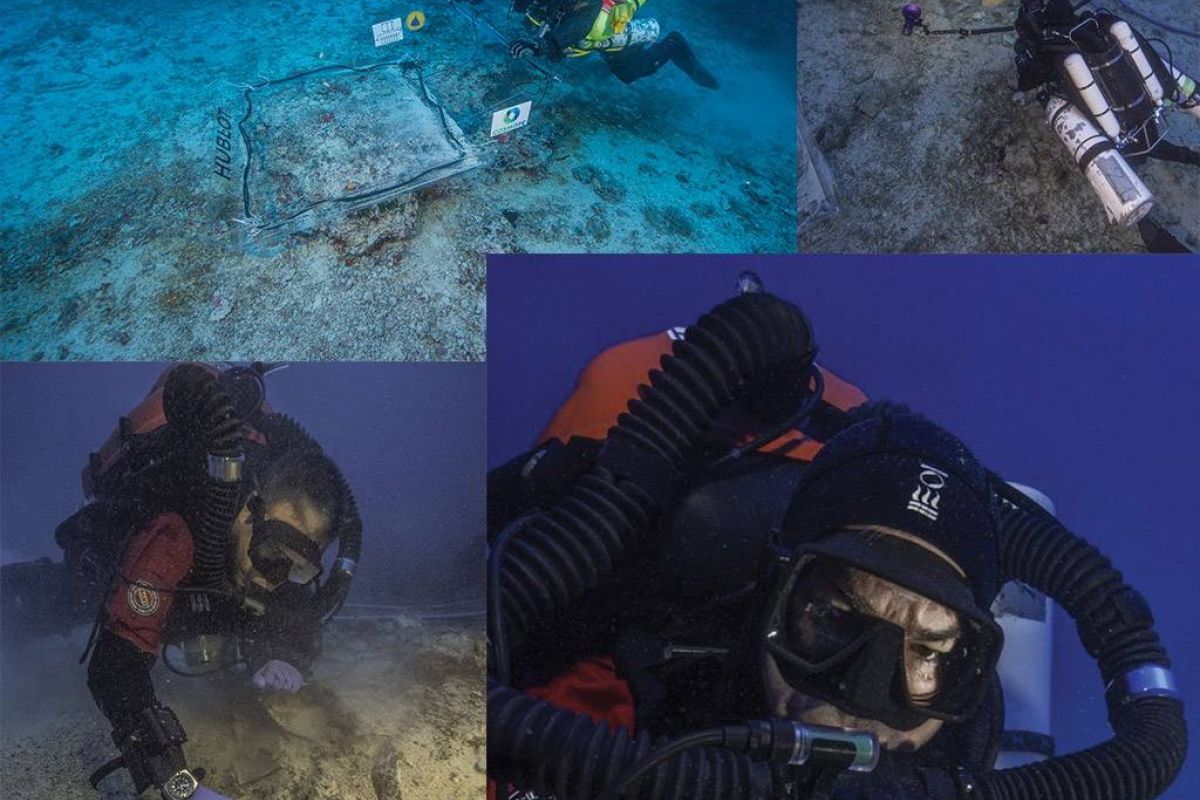 8e0cc8b5aa4bbdee8df5c1a32381f369 XL fa2a90c9