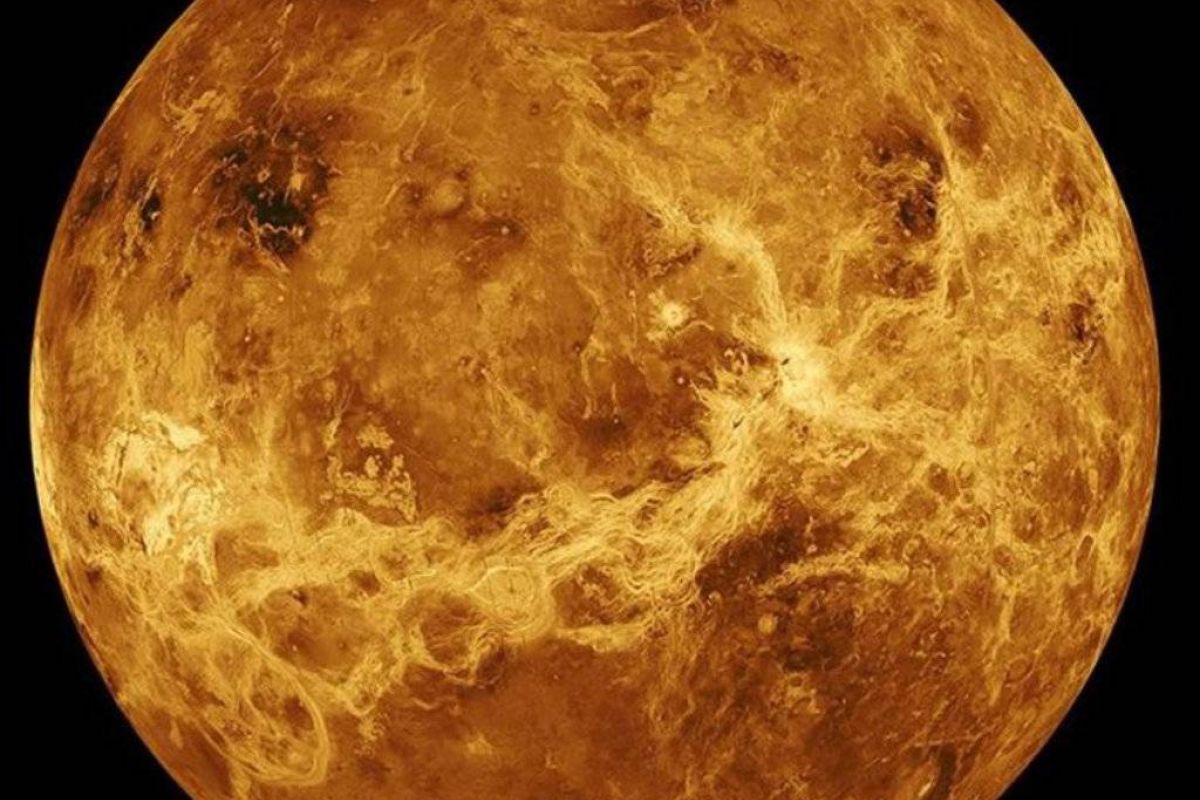 c9d33844b4c81c5db30849f33436b90e XL fa1c2e5b