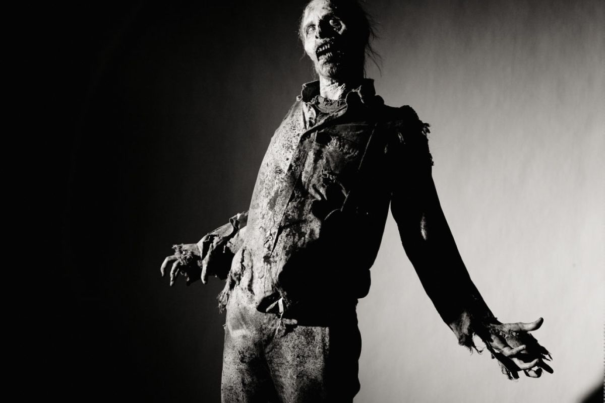 e095d0fe7e3c8f4f9ece50a612610455 XL faa0618e