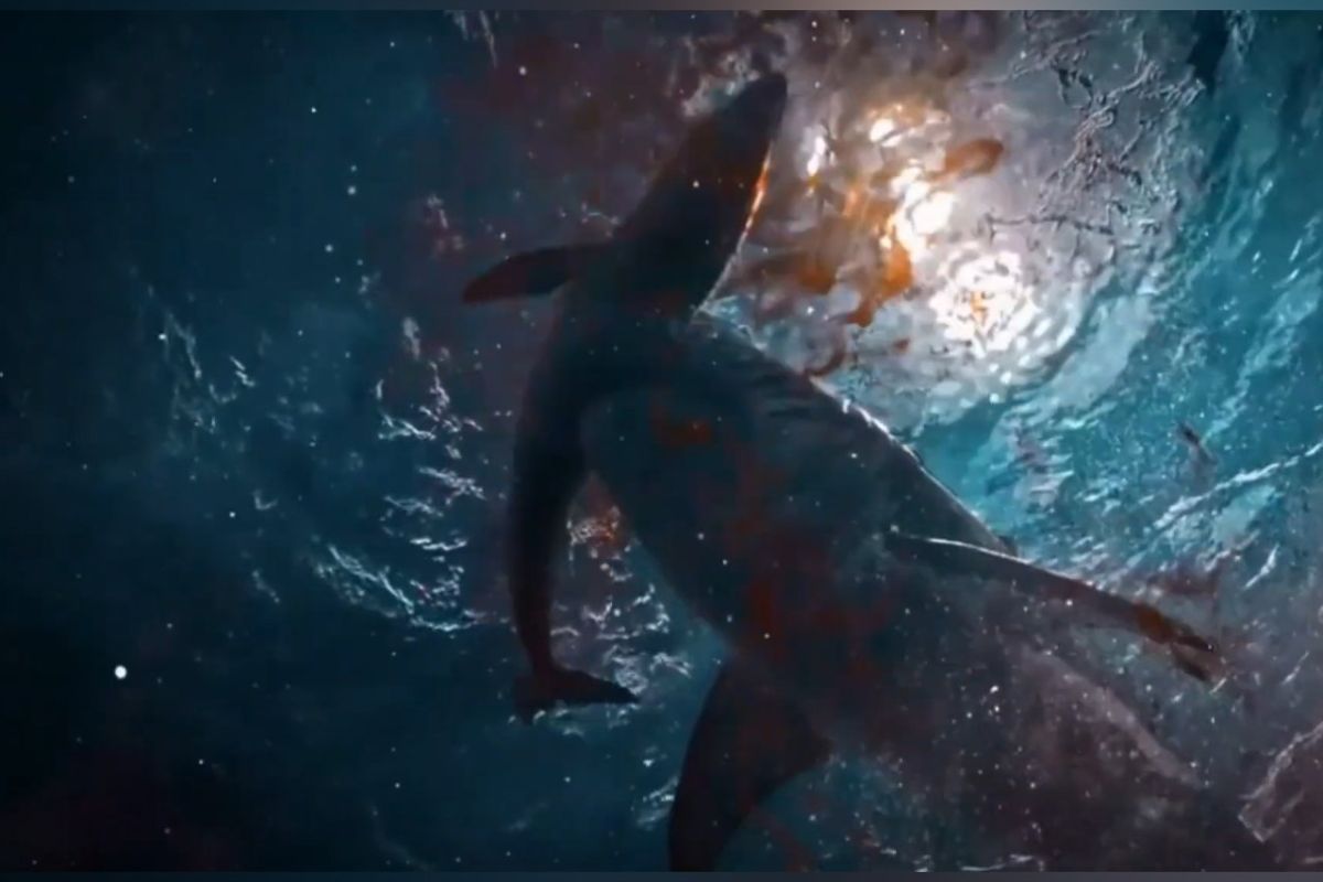 1280 square 117 fcc9613d