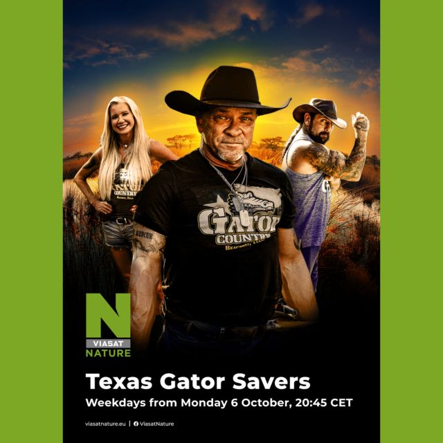 Διασώστες αλιγατόρων στο Τέξας: Οι σωτήρες των πιο επικίνδυνων αλιγατόρων στο Lone Star του Τέξας