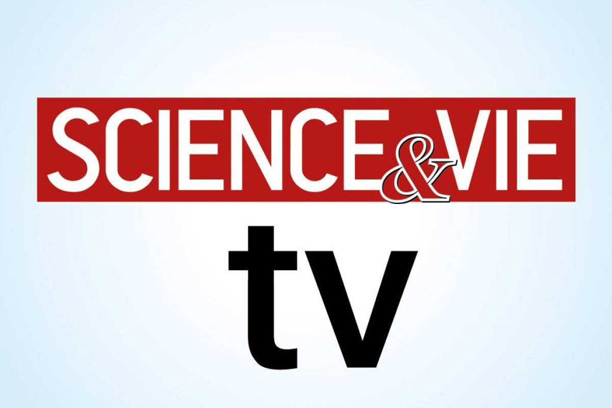 aea1603272fa39ae5aa244cff0552532 XL fc22def9