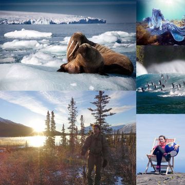 BBC Earth: το κανάλι των κορυφαίων ντοκιμαντέρ στην COSMOTE TV