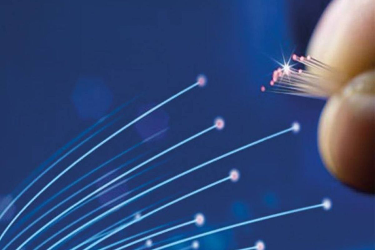 27d8d8d0ed9d9ce0d6feb55af405702d XL fd5bda09