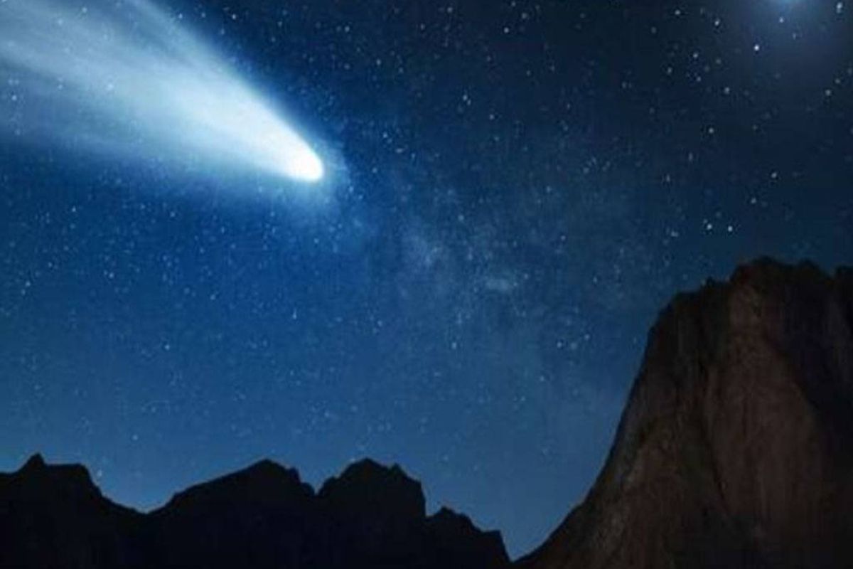 c24196e5458dae2e37bd512379b0dd08 XL fd25fcac