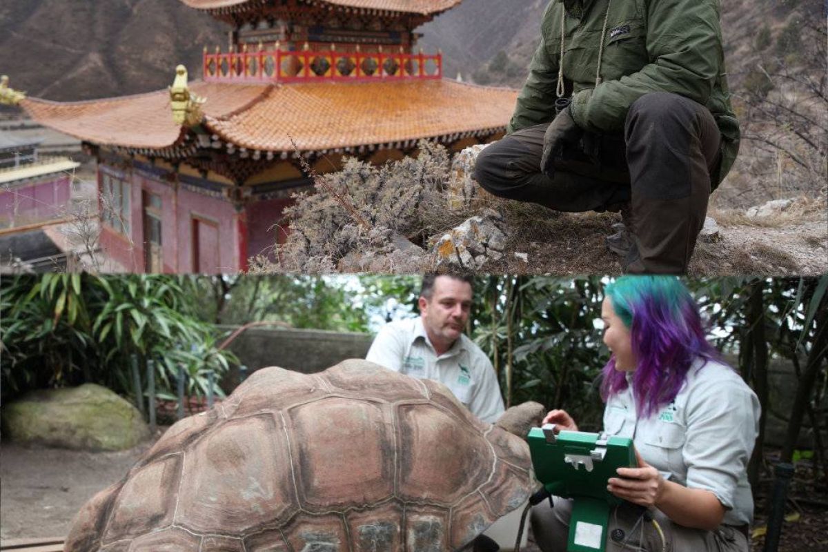 dc9caaea8b4b4213fd9919f5d667ce50 XL fd9a1723