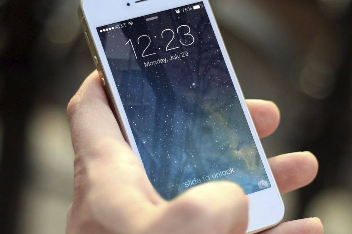 1858075c00fddd7149248fa7da518dc7 XL fe3bad02